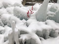 -黑龙潭风景区