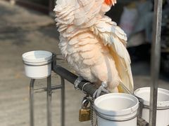 -四海楼(如皋定慧禅寺店)