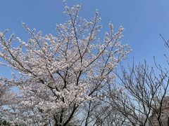 -苏州太湖国家湿地公园