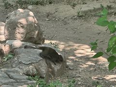 -佛慧山
