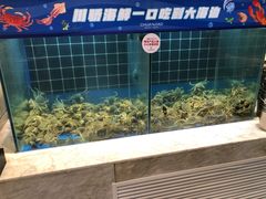 -川骄海鲜自助(亚运村店)