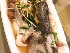 -巷语私房料理(华一实业大厦店)