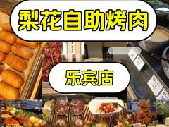 -梨花自助烤肉(乐宾店)