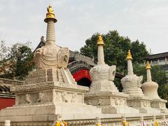 -西安市广仁寺