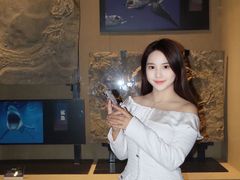 -中华赏石园