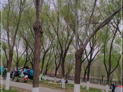 -永定河休闲森林公园