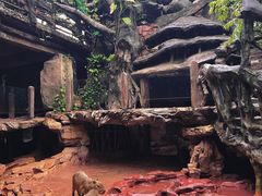 -长鹿旅游休博园