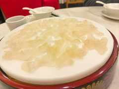 -寻味顺德·南记酒家·传统顺德菜·鱼生(广源路店)