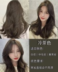 -蚂蚁造型俱乐部