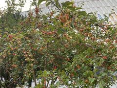 -北京园博大酒店