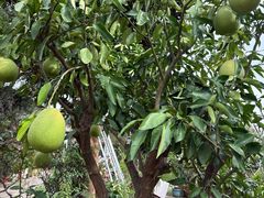 -敬亭山风景名胜区