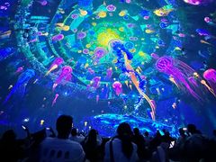 -海合安成都极地海洋公园