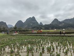 -靖西鹅泉风景区