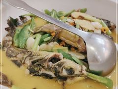 -饭怕鱼·黄焖鲟龙鱼(湖大店)