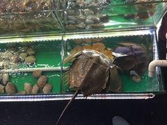 8A0976F22771AF6C1686A9E38D7CB695-覃记海鲜美食餐厅