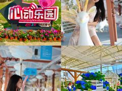 -盈香心动乐园