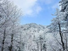 -四明山国家森林公园