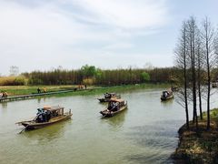 -溱湖国家湿地公园