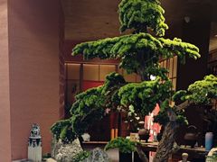 -许爷家·生态湖鲜(徐汇日月光店)