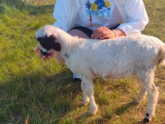 -呼和诺尔旅游景区