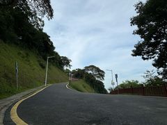 -黄埔油麻山森林公园