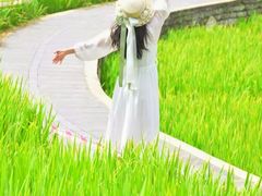 -龙头寺公园