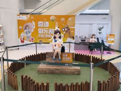 -银座mall(东直门店)
