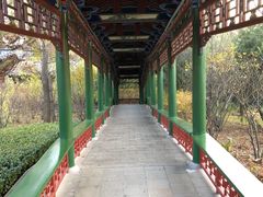 -迎泽公园