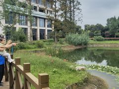 -黄海国家森林公园