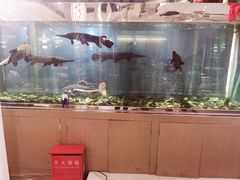 -衡山汇·高级粤菜(霄云路店)