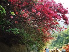 -木兰云雾山