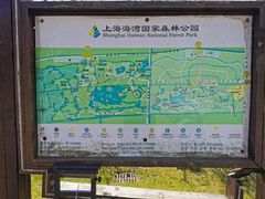 -上海海湾国家森林公园