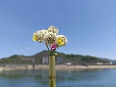 -江南天池