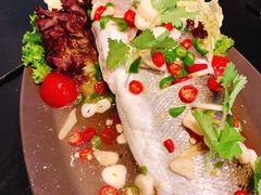 -URBAN SOI Thai Kitchen乐泰料理(长乐路店)