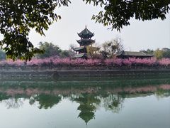 -望江楼公园