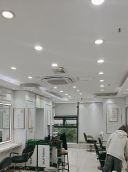 -镁连社·美联社