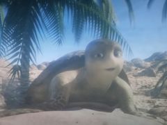 -海合安成都极地海洋公园