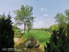 -前关湿地公园
