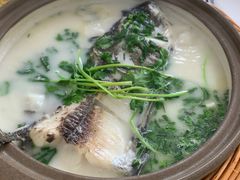 -天乐农家鱼头王(天目湖店)