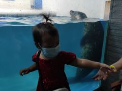 -成都浩海立方海洋公园