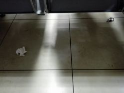 -首都儿科研究所附属儿童医院