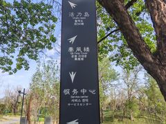 -渭滨公园