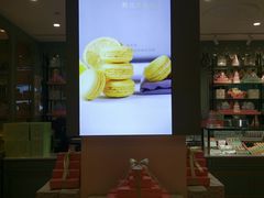 -DORABELLA朵娜贝拉(武林银泰店)