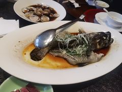 -华豫川酒家(金水路店)