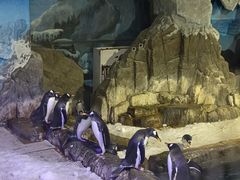 -成都浩海立方海洋公园