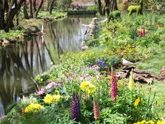 -上海共青森林公园