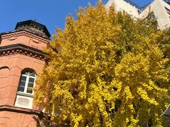 -复旦大学附属华山医院(总院)