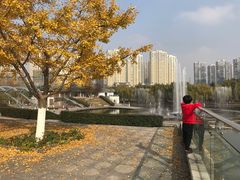 -白塘生态植物园