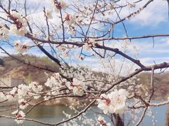 -云蒙山风景区