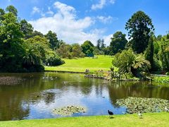 -墨尔本皇家植物园